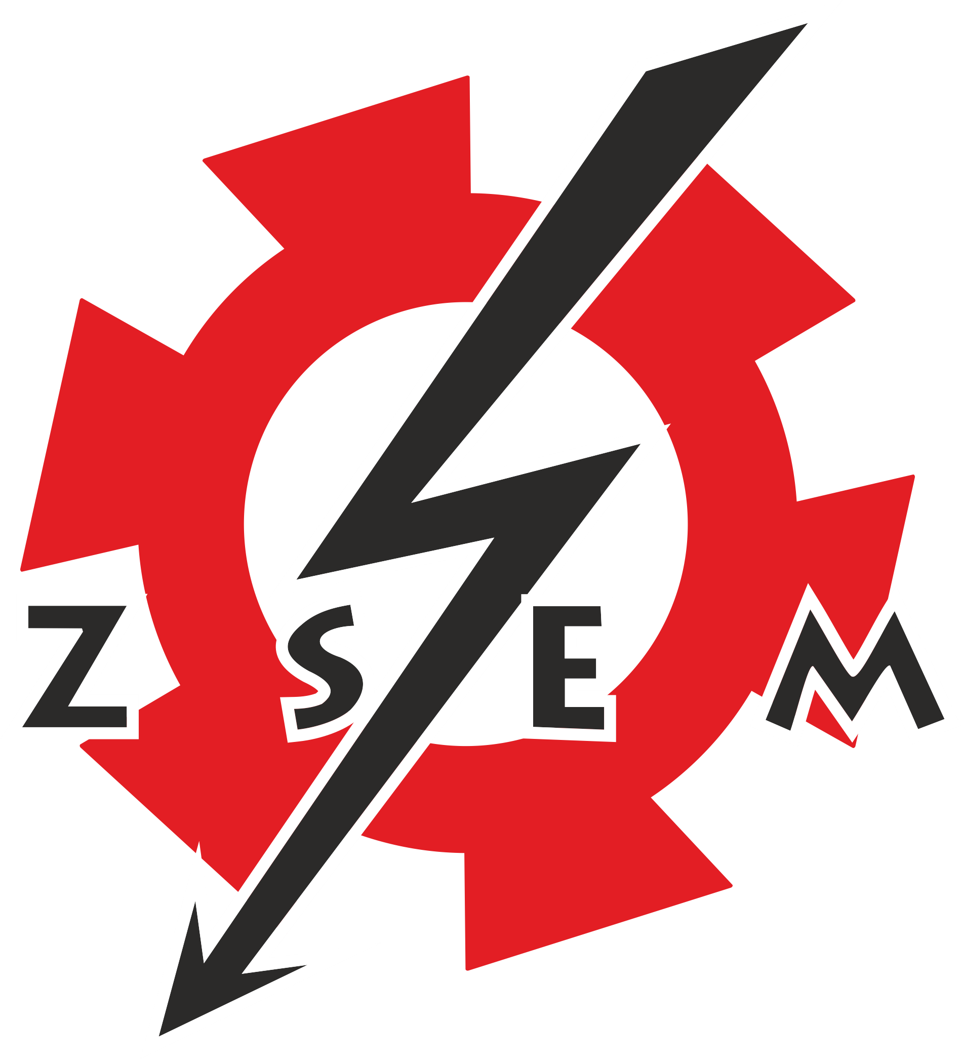ZSEM Logo
